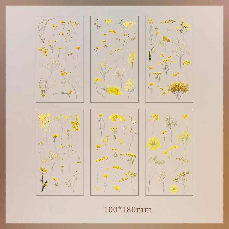 Nature Book Series Handbag Sticker Pack PVC Plant Flower Retro Material Paper Children's Handbag Sticker