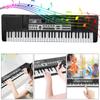61 Keys Portable Electronic Organ Children Digital Keyboard with Microphone Music Toy