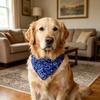 Collare a Bandana per Cani, Bandana per Cani con Fantasia Paisley e Anello a D, Collare a Bandana Regolabile Senza Nodo Elegante per Cani Piccoli Medi Grandi