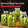Green Plum Bayberry Sparkling Wine Glass Bottle - Food-Grade, Sealed Jar for Homemade Wine and Beverage Container.