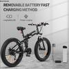 Ridstar-H20 Elektrické kolo s tlustými pneumatikami - Odnímatelná baterie, Hydraulické odpružení, Inteligentní LCD displej pro městské dojíždění a jízdu v terénu