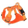 Pet Harness Vest With Nonextendable Leash For Small Dogs And Cats