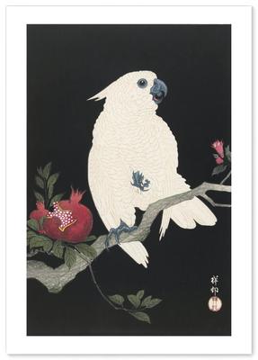 Bytové dekorácie – Obrazy a plagáty