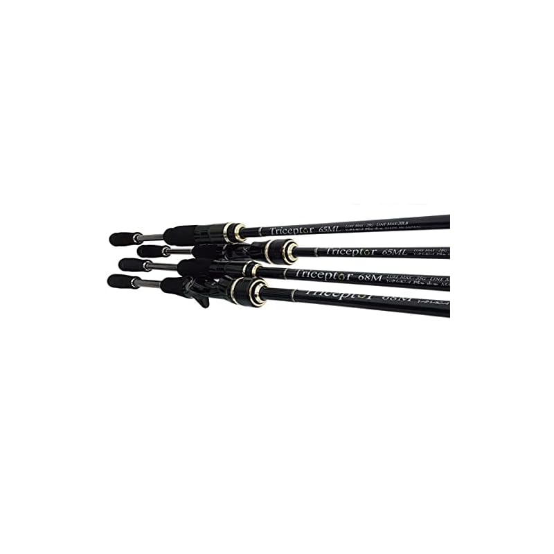 

Yamaga blanks (YAMAGA Blanks) Triceptor 65ML bait model