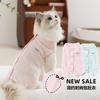 Katten – Kleding voor katten