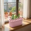 Breathable Planting Basket Water Reservoir Base Green Onion Pots Hydroponic Flower Pot Kitchen