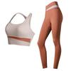 High-Impact Women's Color-block Yoga Set: Shockproof Sports Bra & Vest