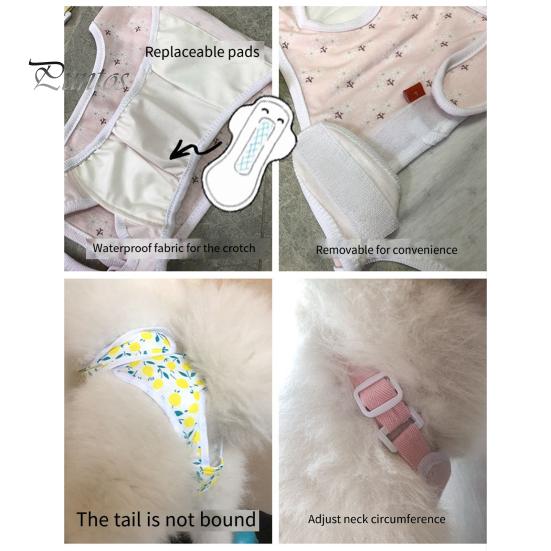 Pantaloni menstruali pentru animale de companie Chiloți sanitari ajustabili pentru câini Pantaloni fiziologici confortabili, rezistenti la scurgeri, pentru animale