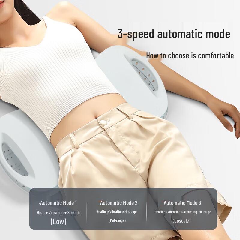 Chigo Smart Heated Waist Massager
