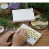TOHO Mini Push Art Kit Psyche GW1 No.2, 3D Bead and Pin Craft Kit, Made in Japan