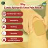 Zandu Ayurvedic Knee Pain Relief Patch Pack of 1X 5 Patches for Joint and Muscle Comfort 8 Hours Relief