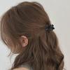 Versatile Frosted Floral Shark Hair Clip for Ponytails & Half-Tied Styles