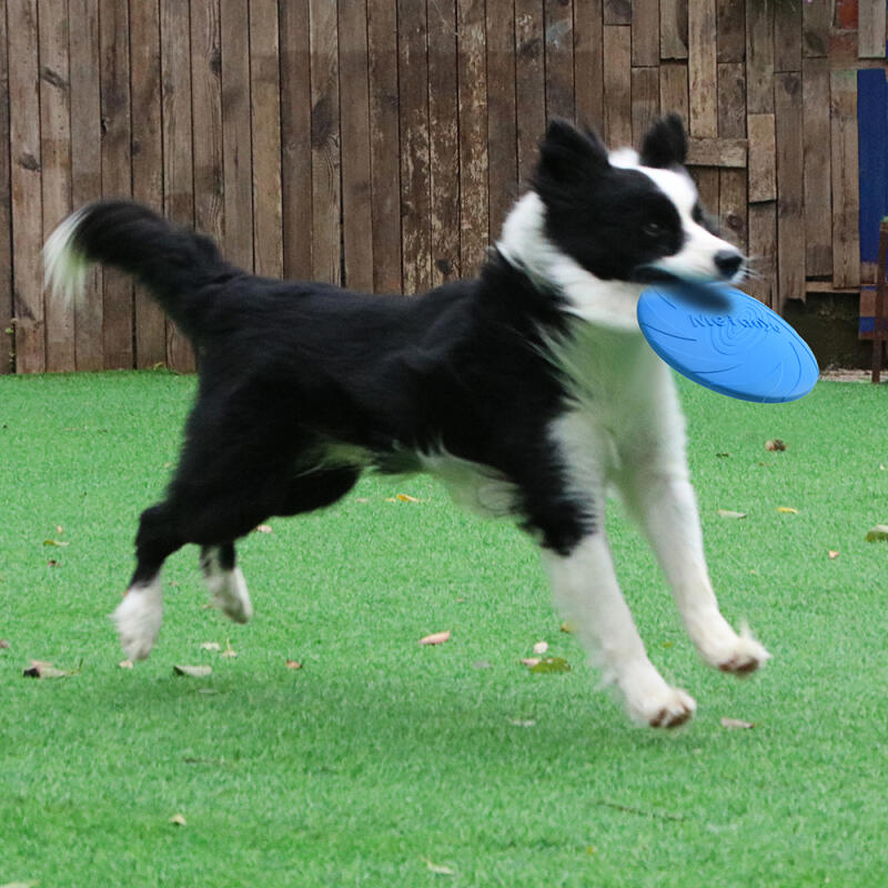 PH Pet Dog Toy Flying Disc 9011