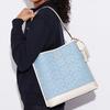 Coach Mollie Bucket Bag Women handbags Blue CA562-IMUDY