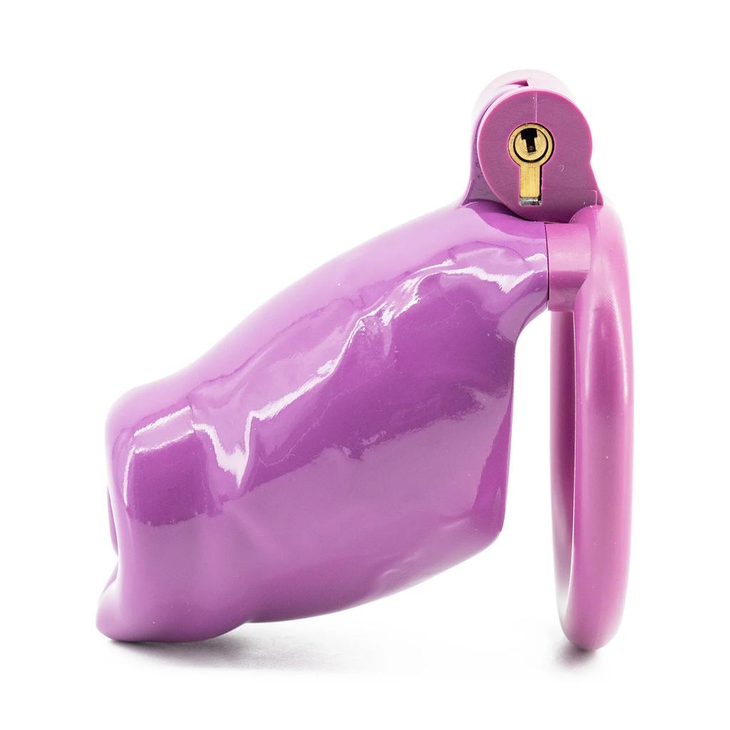 Chastity Cage Dildo Dog Penis Female Chastity Bdsm Sex Toy for Men Anti Removal Longterm Cock Cage Animal Penis Chastity Lock