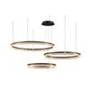 Oeny Modern Double Circle LED Chandelier