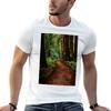 Walk Through Redwoods Tshirt Running Perforunisexce Short Sleeve Tee