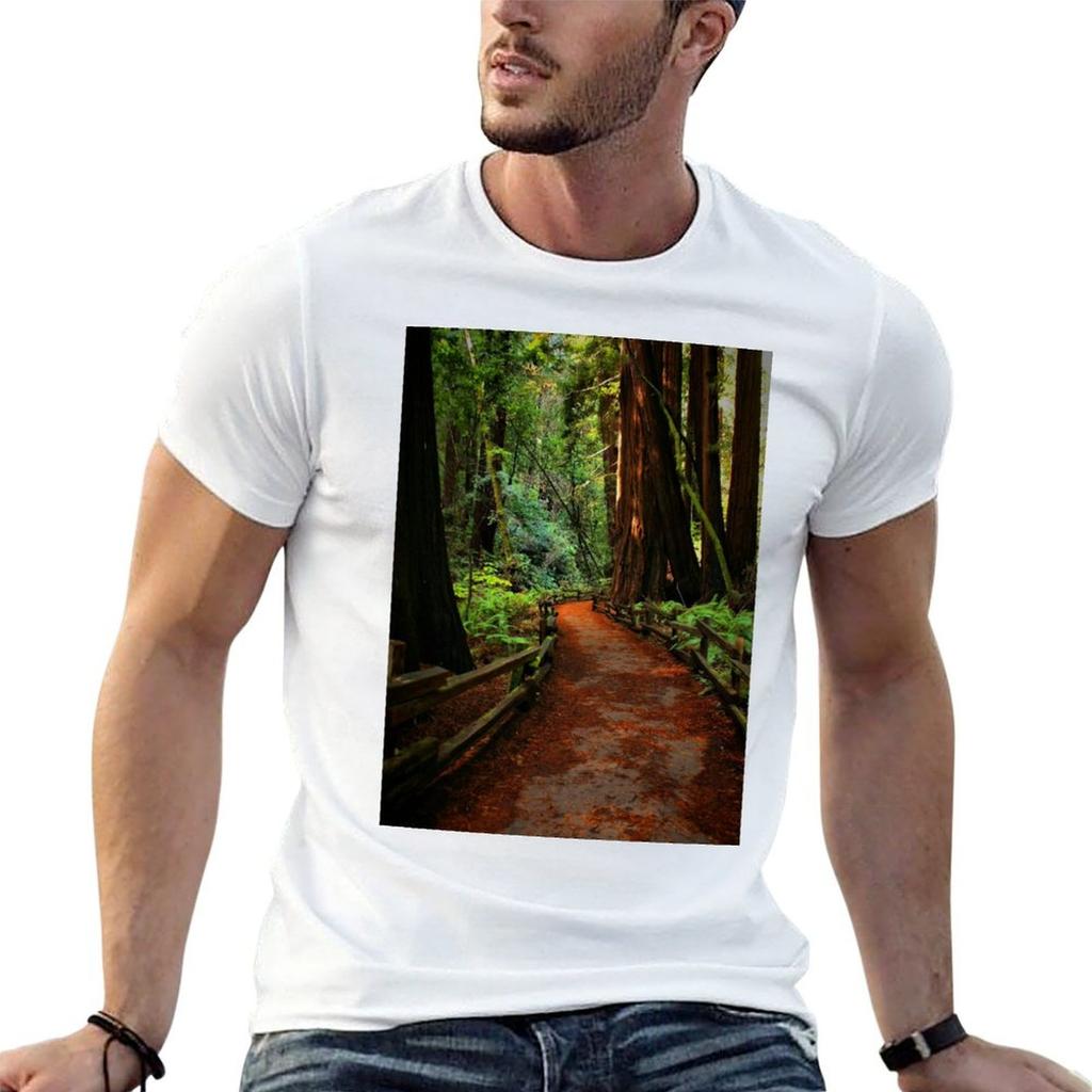 Walk Through Redwoods Tshirt Running Perforunisexce Short Sleeve Tee