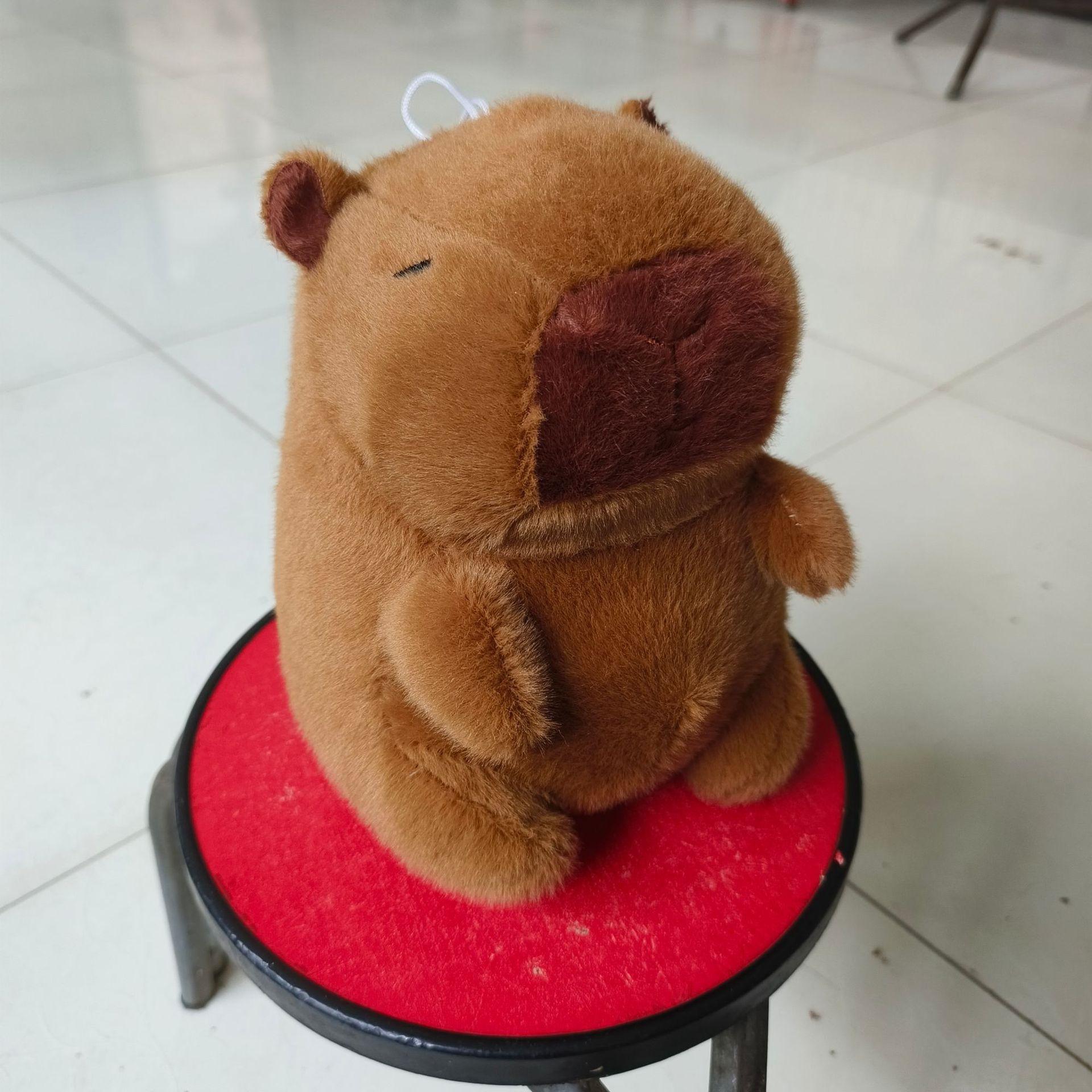 8 Capybara Plush Doll - Ugly Cute Claw Machine Gift 22CM