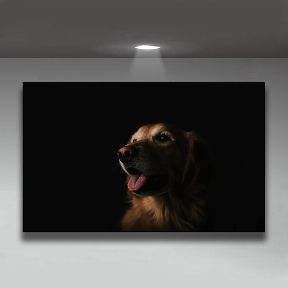 Animal Oil Painting Pet Dog Long Hair Baby Dog Canvas Painting Office Living Room Corridor Home Decoration Mural No Frame