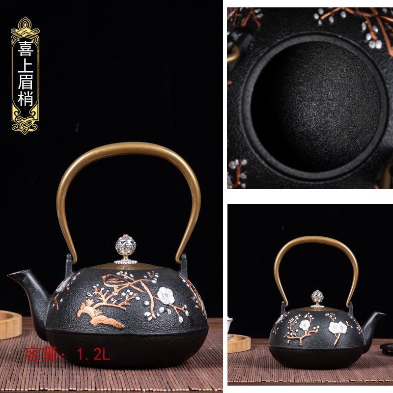Cast Iron Boiling Teapot for Tea Brewing, Traditional Heating Water Kettle, Charcoal Stove Compatible, Rustic Black
