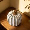 Decorazioni per la casa del Ringraziamento, Decorazioni di zucca autunnale, Zucca decorativa bianco oro, Zucche in resina, Ornamento festivo minimalista, Statuette per
