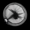 Fishing Landing Net