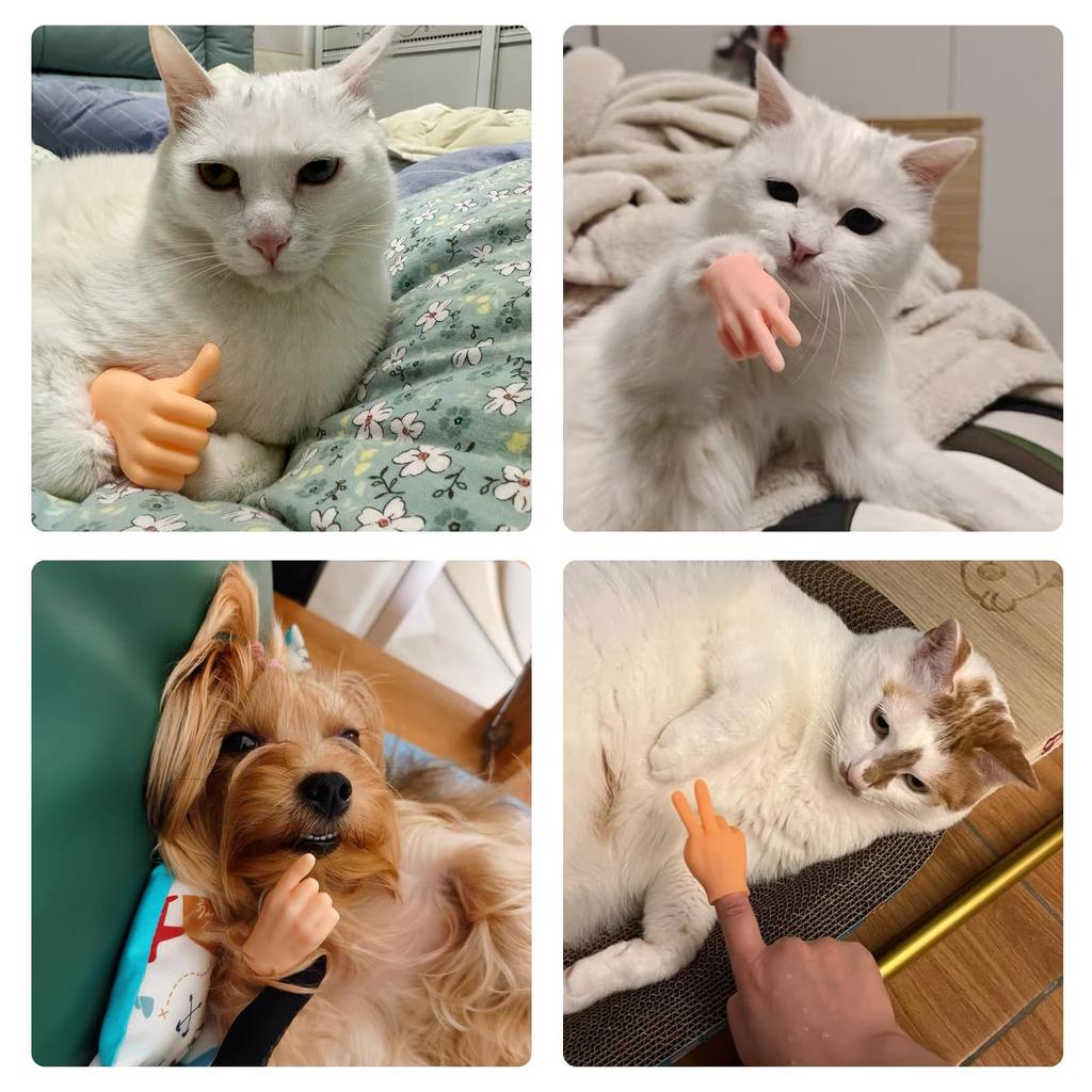 YANHUILAY Miniature Cat Finger Toys [Set of 10] Mini Cat Hands, Cat Teasers, Finger Puppets, Popular, Cute, Fun, Soft, Stretchy, Photography, Pet