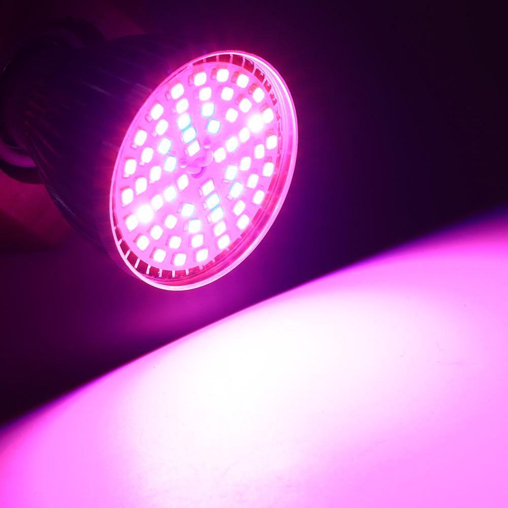 60W 60LED žárovka s plným spektrem pro pěstování rostlin pro hydroponické pěstování rostlin