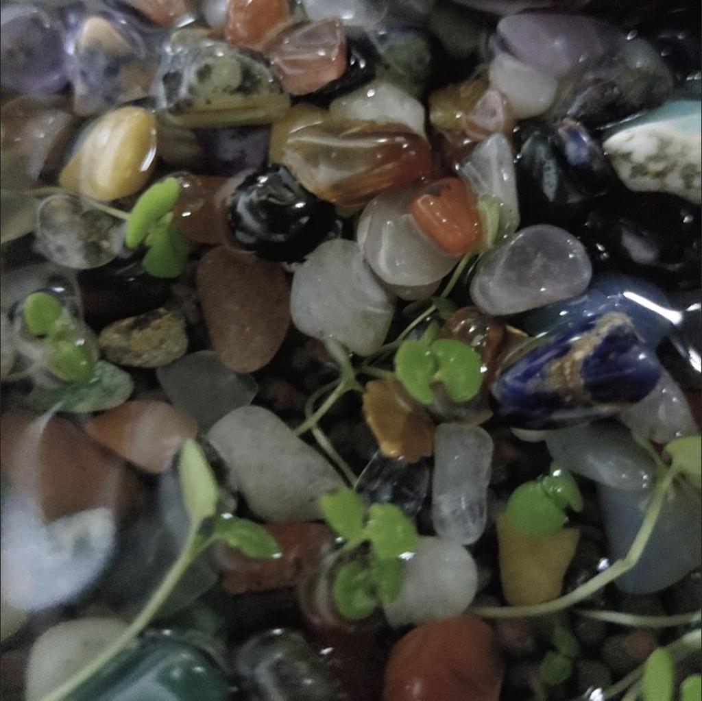 7 Chakra Crystal Mix - Healing Gemstone Collection for Meditation, Altar Offerings, Mandala Making, & Aquarium Decor