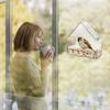 Acrylic Clear Glass Window Birds Hanging Feeder Birdhouse Food Feeding House Table Seed Peanut Suction Cup