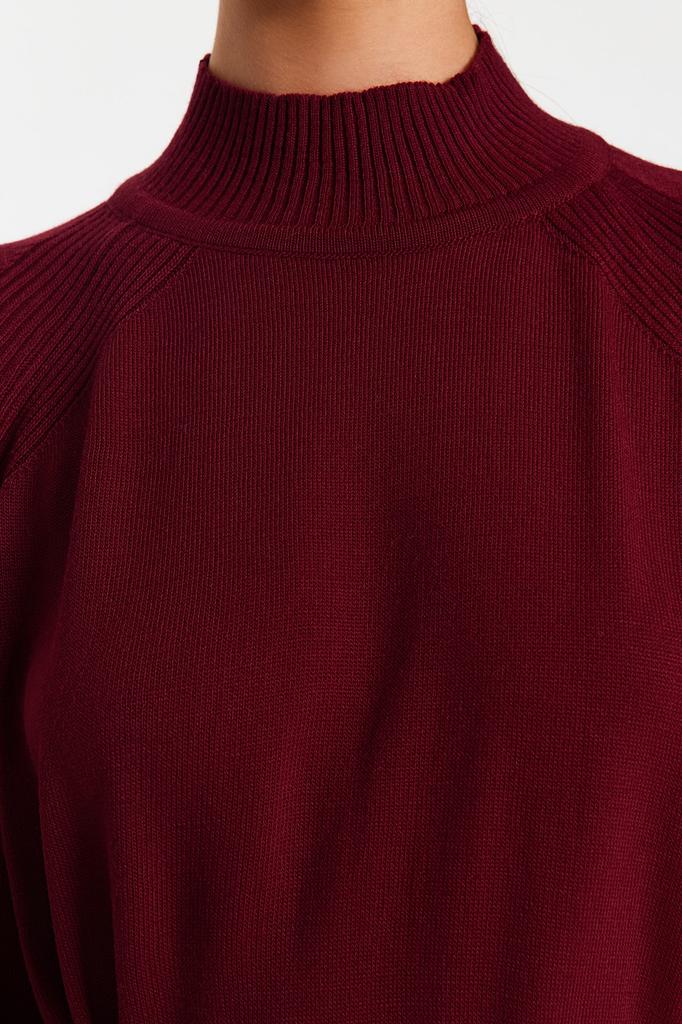 Women's Hijab Dress New Season Fashion Plum Faux Leather Belted High Collar Knitwear Dress