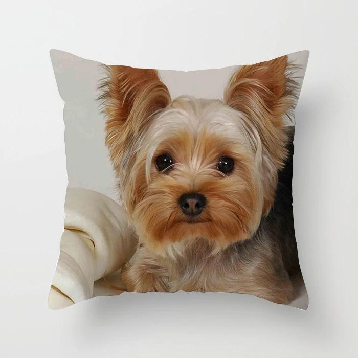 Bedroom Sofa Waist Cushion Cover Car Decorative   Cute Dog Yorkie  Yorkshire Decor Print Pillowcase