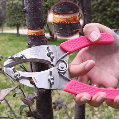 Ringförmiger Obstbaumschäler, Rindenabstripping-Schneiden aus rostfreiem Stahl, Pfropfwerkzeug, Garten- und Obstgartenwerkzeuge, Astschere