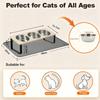 3 Bowls Cat Bowl Stand Iron Frame Elevated Pet Feeder Silicone Cat Bowl Mat Waterproof Anti-slip Pet Feeding Mat for Cats