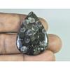55Cts. Coral Fóssil Preto Natural Cabochão de Pérola Pedra Preciosa Solta 28X39X06 MM B-337