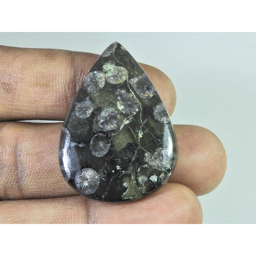 55Cts. Coral Fóssil Preto Natural Cabochão de Pérola Pedra Preciosa Solta 28X39X06 MM B-337