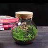 Micro Landscape Glass Bottles with Cork Lid Glass Vase Bryophyte Moss Plant Container Glass Terrarium  Bonsai Desktop Decoration