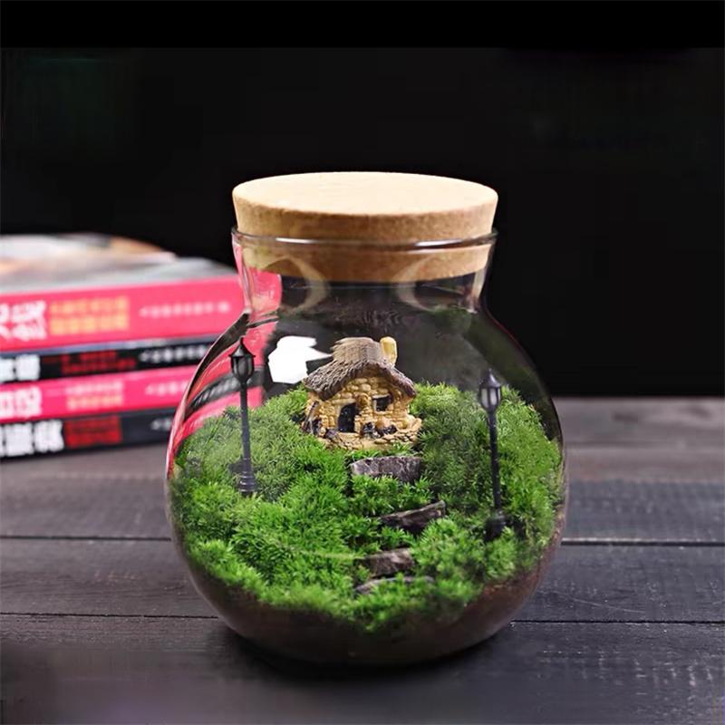 Micro Landscape Glass Bottles with Cork Lid Glass Vase Bryophyte Moss Plant Container Glass Terrarium Bonsai Desktop Decoration