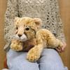 Sunlemon Baby Cheetah Plush Toy 16x42x16cm Cute Animal Stuffed Toy for Infants