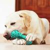 Dog Toy Teething Stick Chewable Teeth Cleaning Bones Dog Toothbrush TPR Safe Puppy Dental Care Cleaning Toys Supplies
