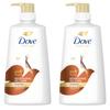 Dove Nourishing Oil Care Shampoo 680ml 2 Pcs