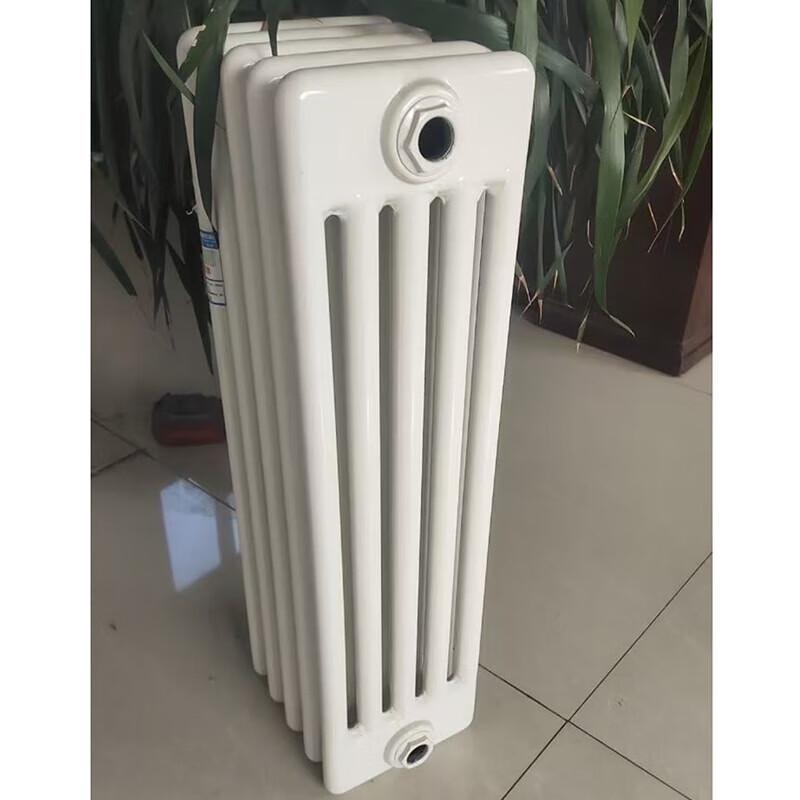 Dongfeier GZ506 Steel Five-Column Hydronic Radiator