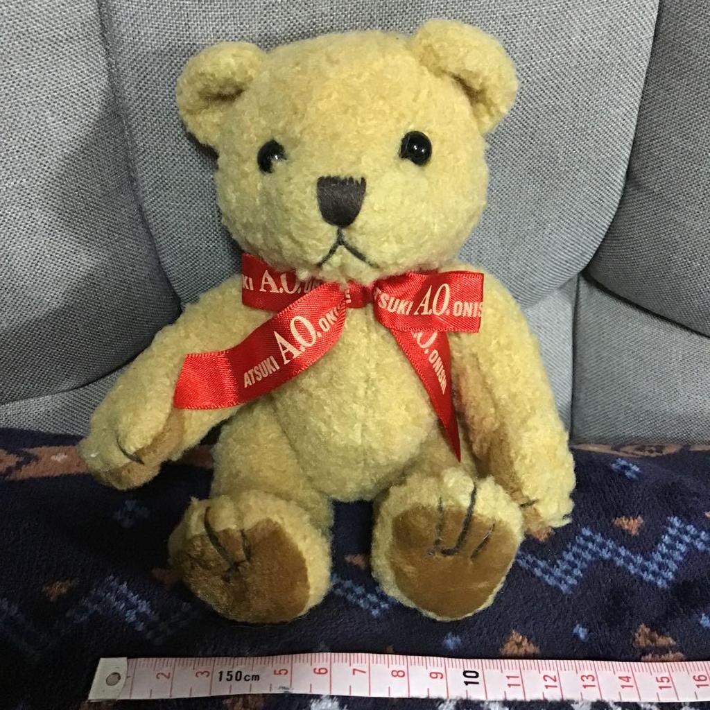 [USED] Atsuki Onishi Teddy Bear Nu143