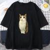 Cat Owl Funny Meowl Meme Brainrot Graphic Tshirts Unisexs WoUnisex Clothing Fashion Short Sleeves Tshirt Cotton Oversized T Shirts