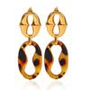 Phoenix Trend Retro Maillard Style Amber Earrings, Unique Vintage Two-tone Spliced Drop Earrings, Titanium Steel Jewelry