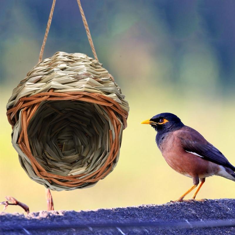 17 Stil Vogelnester Vogelkäfig Natürliches Gras Eierkorb Vogelhaus Außen Dekoration Geflochten Hängend Papageiennest Häuser Haustier Schlafzimmer