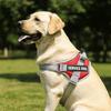 Training Accessories Adjustable Dog Harness Reflective Leash Set Reflective Vest Harness Adjustable Harness Dog Training
