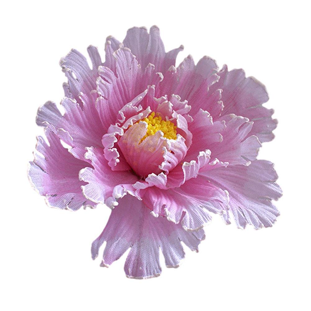 Peony Flower Flower Head Diameter Space Image Website