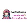 New Female Driver Warning: Please Let Me Pass – Creative Car Sticker for Rear Window